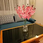 Karov - 2 Stars Guest house Chepelare